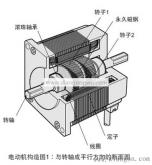 步進電機(步進電機的構造（以5相步進為例）)
