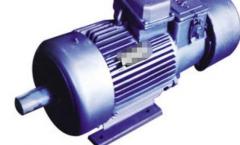 微型電機（異步電機在電動汽車驅動領域優勢明顯）