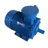 CT4防爆電機和BT4防爆電機有什么區別？