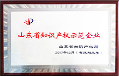山東省知識產權示范企業<