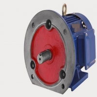 怎樣區分電容式和罩極式單相電機？