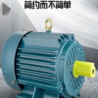 2900轉(zhuǎn)速電機(jī)振動(dòng)值要求多少？