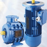 振動電機軸承壞了怎樣拆卸跟安裝？